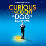 The Curious Incident Of The Dog In The Night-Time
